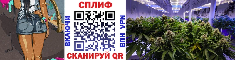 Канабис Amnesia  Кологрив 